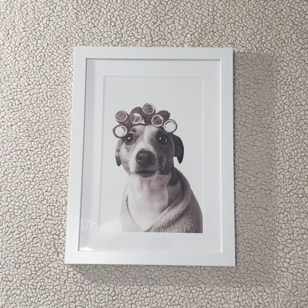 Hobby Lobby | White Framed Dog Wall Art Print - Cute Jack Russell with Curlers